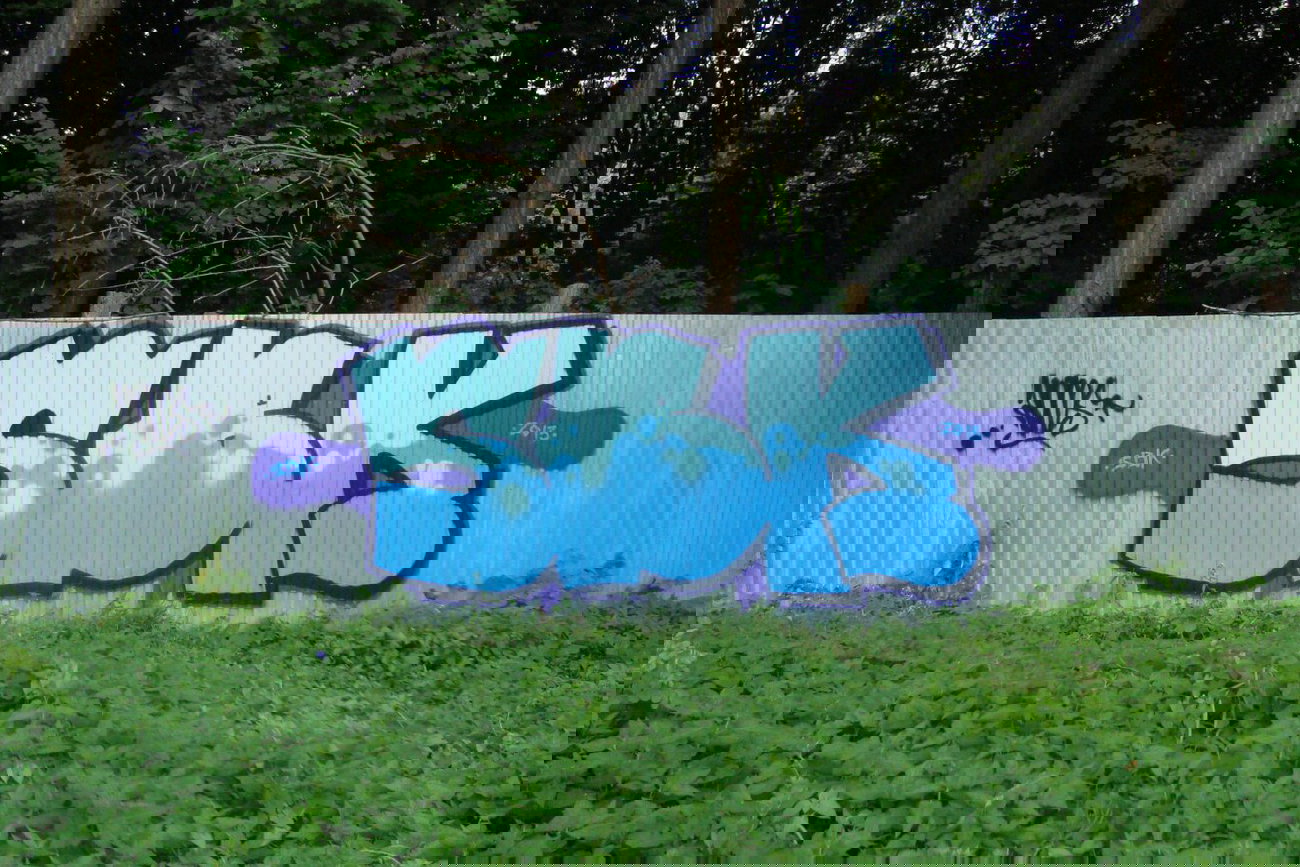 Graffiti Bombing - Photo by Homs - Homs, SBK (2013)