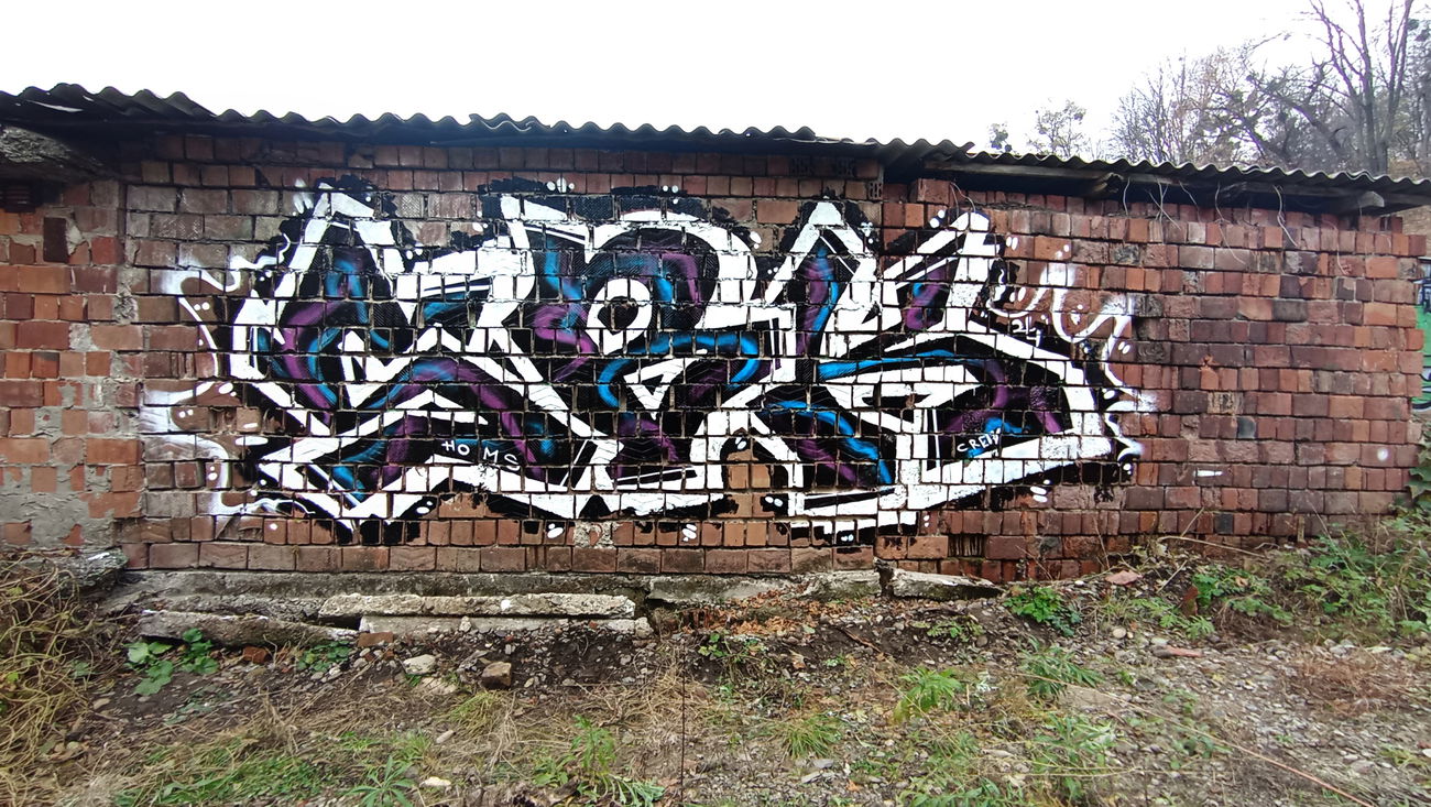 Graffiti Bombing - Photo by Homs (2024)