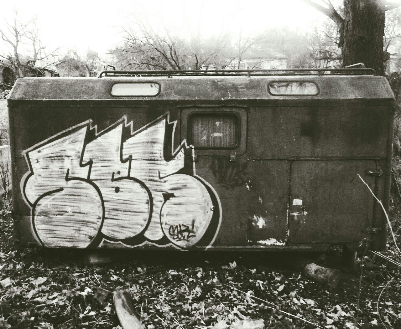 Graffiti Bombing - Photo by Homs - Homs