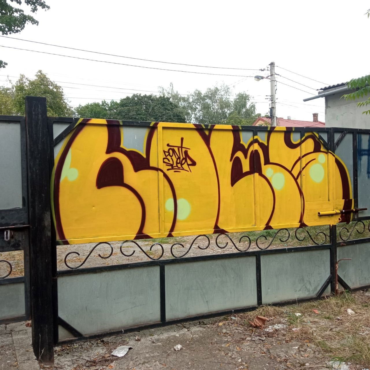 Graffiti Bombing - Photo by Homs (2024)