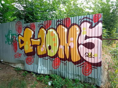 Graffiti Bombing - Photo by Homs - homs