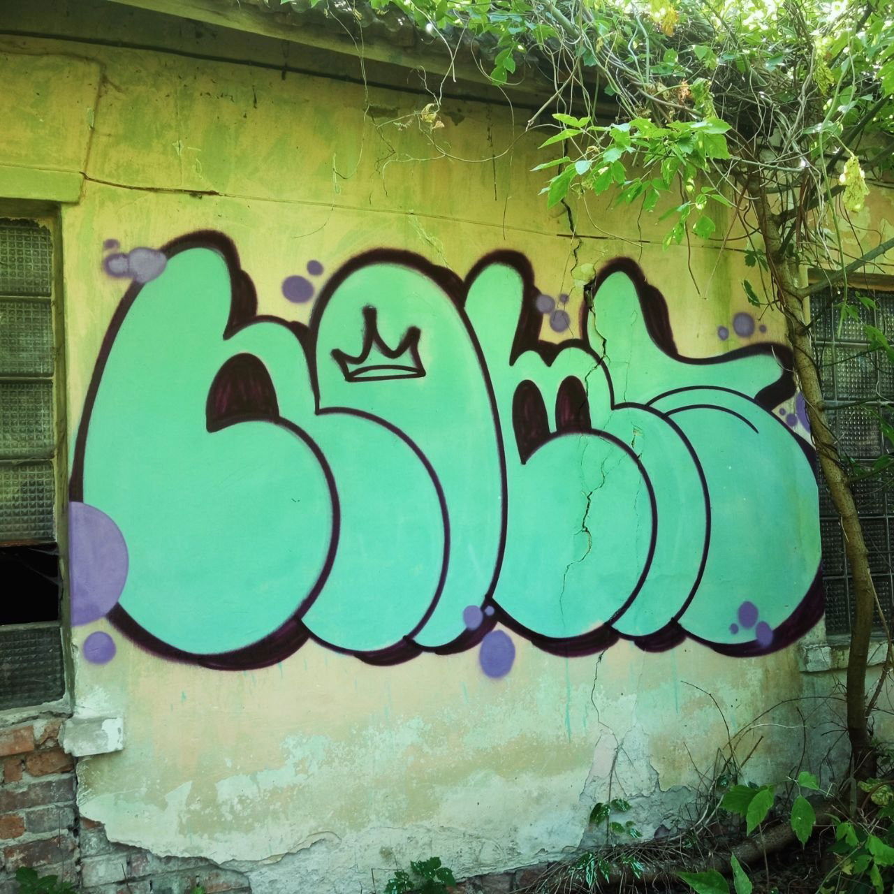 Graffiti Bombing - Photo by Homs (2024)