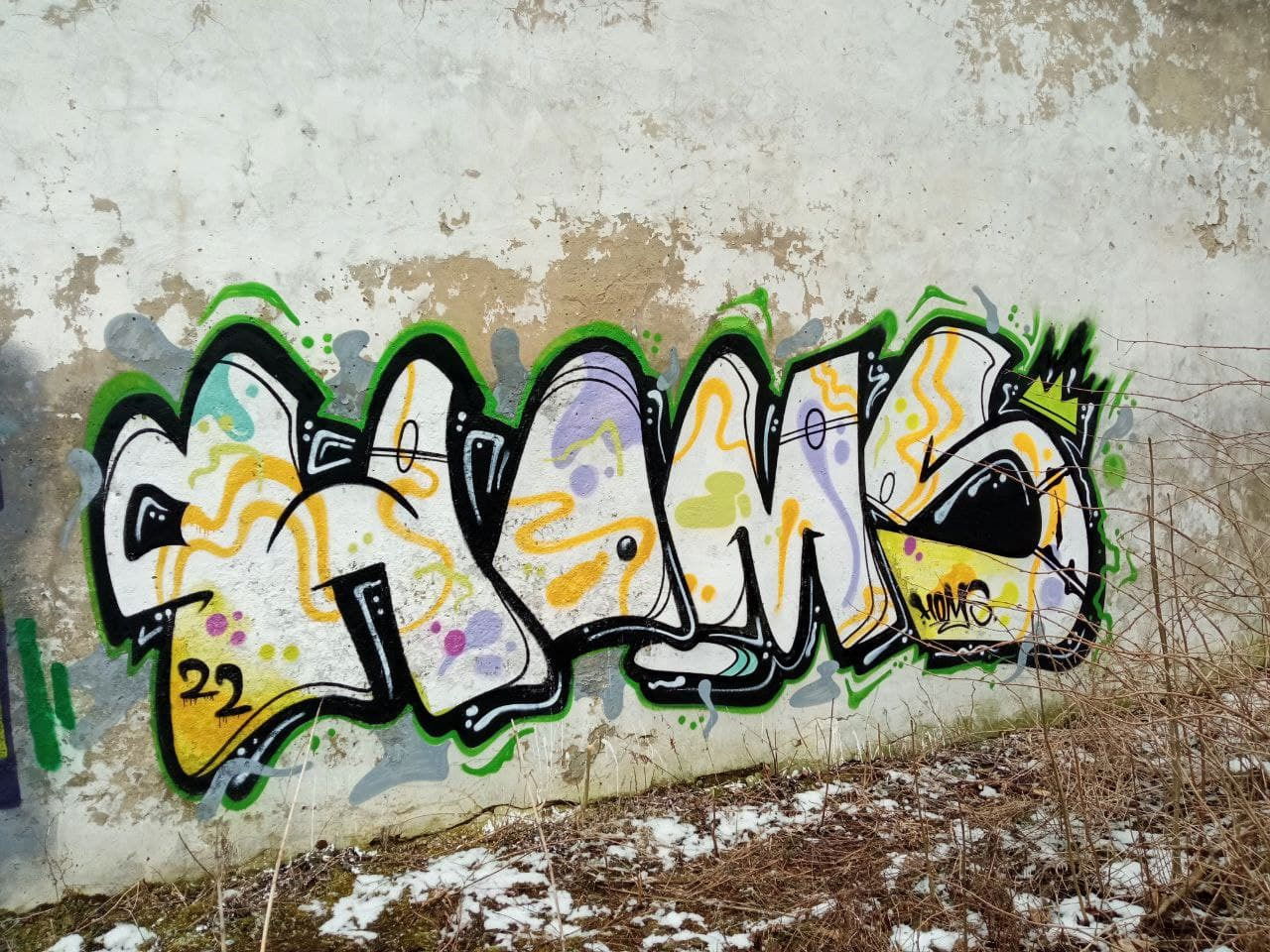 Graffiti Bombing - Photo by Homs - homs