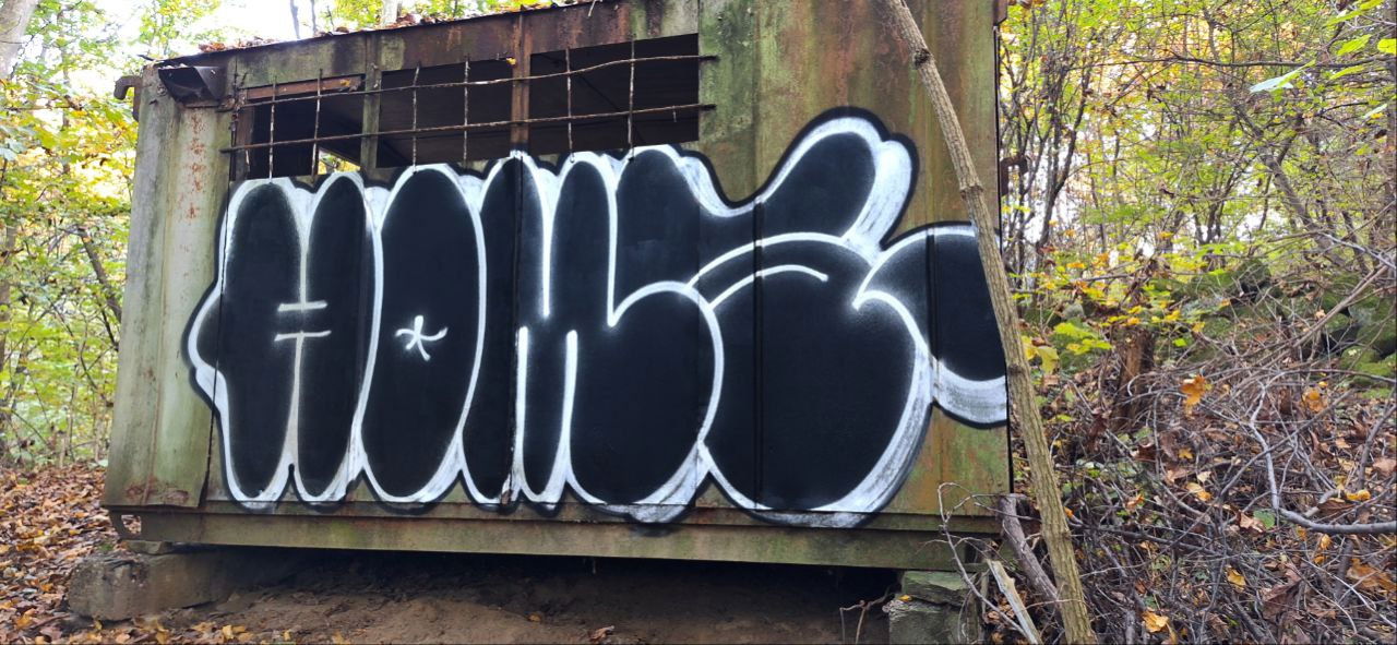 Graffiti Bombing - Photo by Homs (2024)