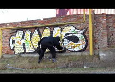 Graffiti Video - Photo by Homs - homs