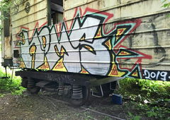 Graffiti Train - Photo by Homs - Homs