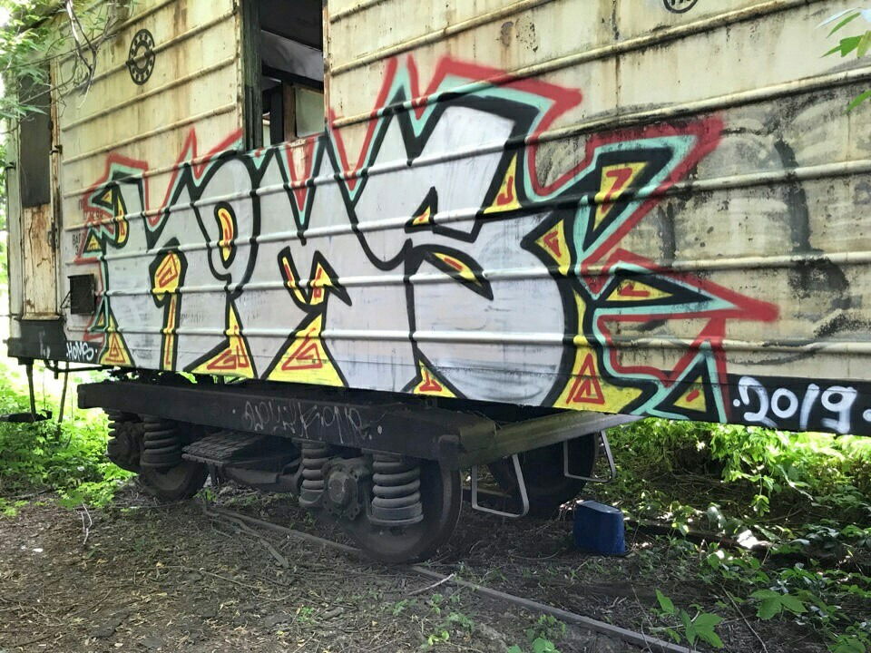 Graffiti Train - Photo by Homs - Homs