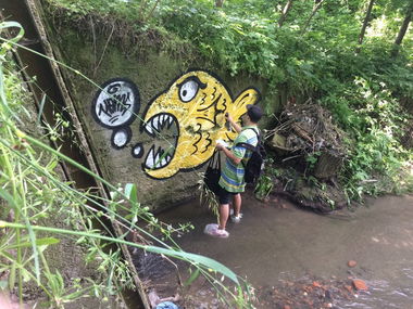 Graffiti Artwork - Photo by Homs - Homs