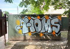 Graffiti Bombing - Photo by Homs - homs