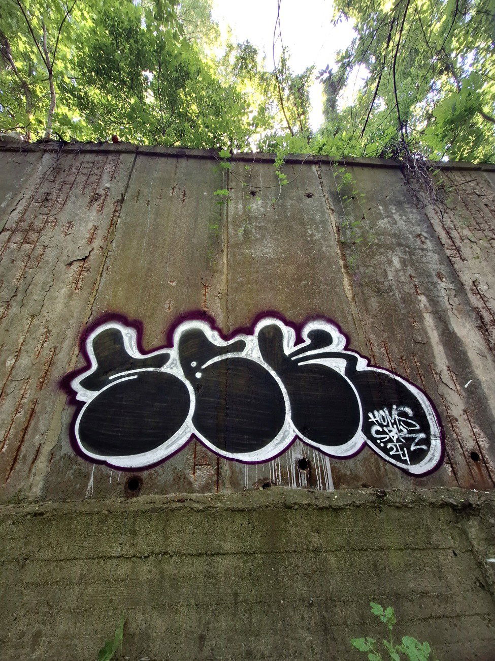 Graffiti Bombing - Photo by Homs - Homs, Bombing, graffiti (2024)