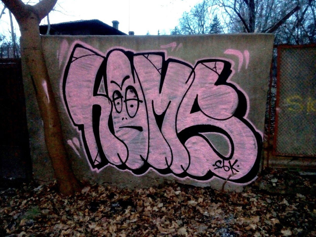 Graffiti Bombing - Photo by Homs - Homs (2017)