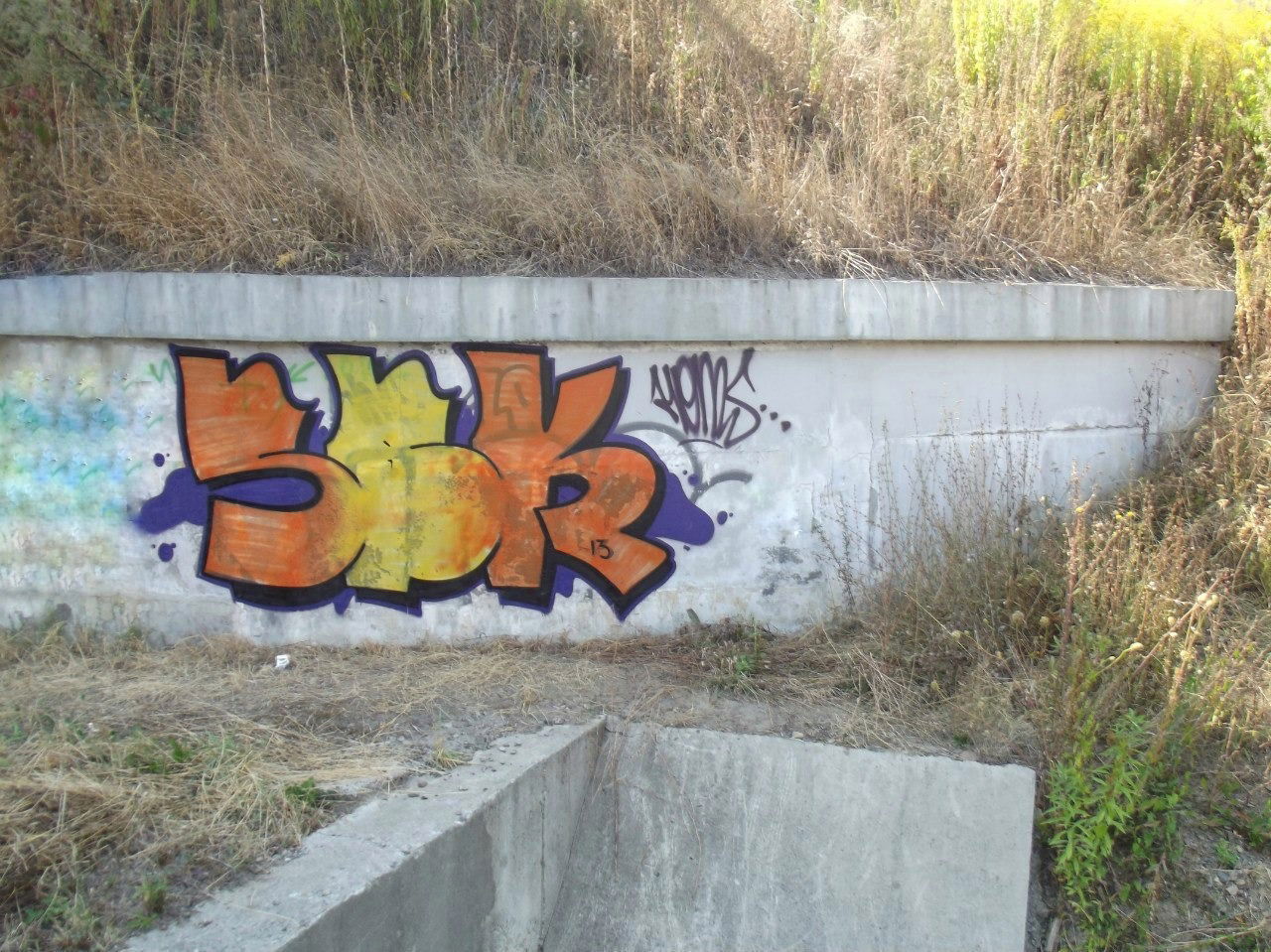 Graffiti Bombing - Photo by Homs - Homs