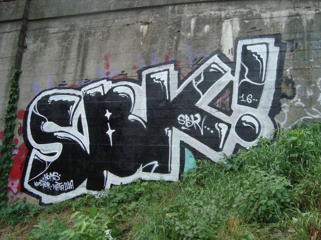 Graffiti Bombing - Photo by Homs - Homs