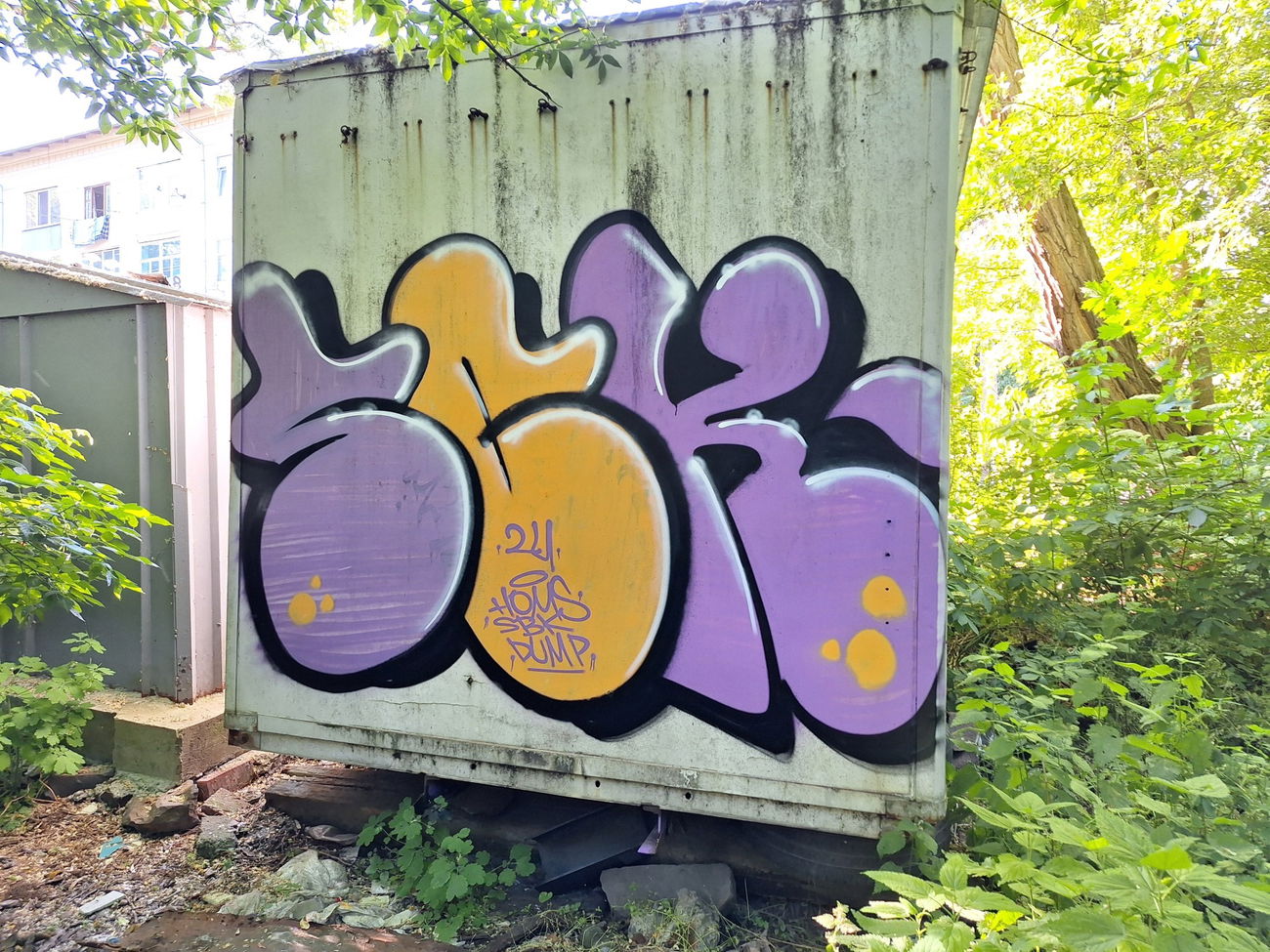 Graffiti Bombing - Photo by Homs - Homs, Bombing, graffiti (2024)