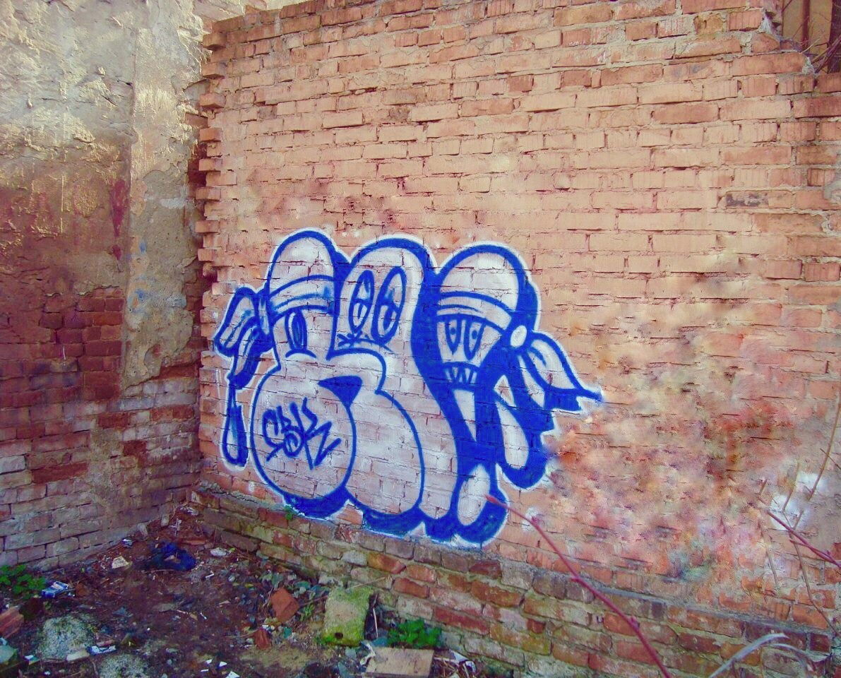 Graffiti Bombing - Photo by Homs - Homs