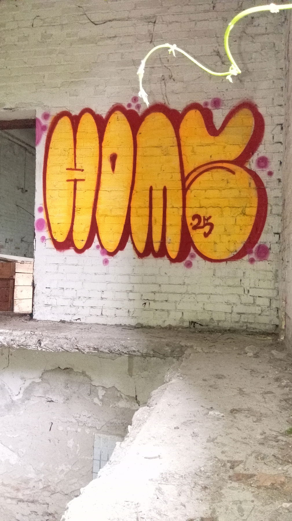 Graffiti Bombing - Photo by Homs (2025)