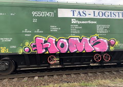 Graffiti Train - Photo by Homs - homs