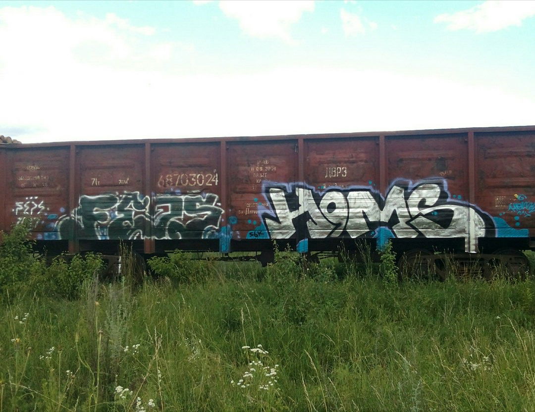 Graffiti Train - Photo by Homs - HomsFeps (2017)
