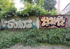 Graffiti Wall - Photo by Homs - homs