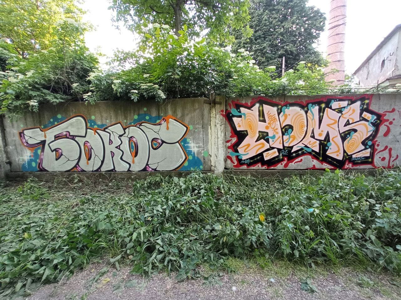 Graffiti Wall - Photo by Homs - homs
