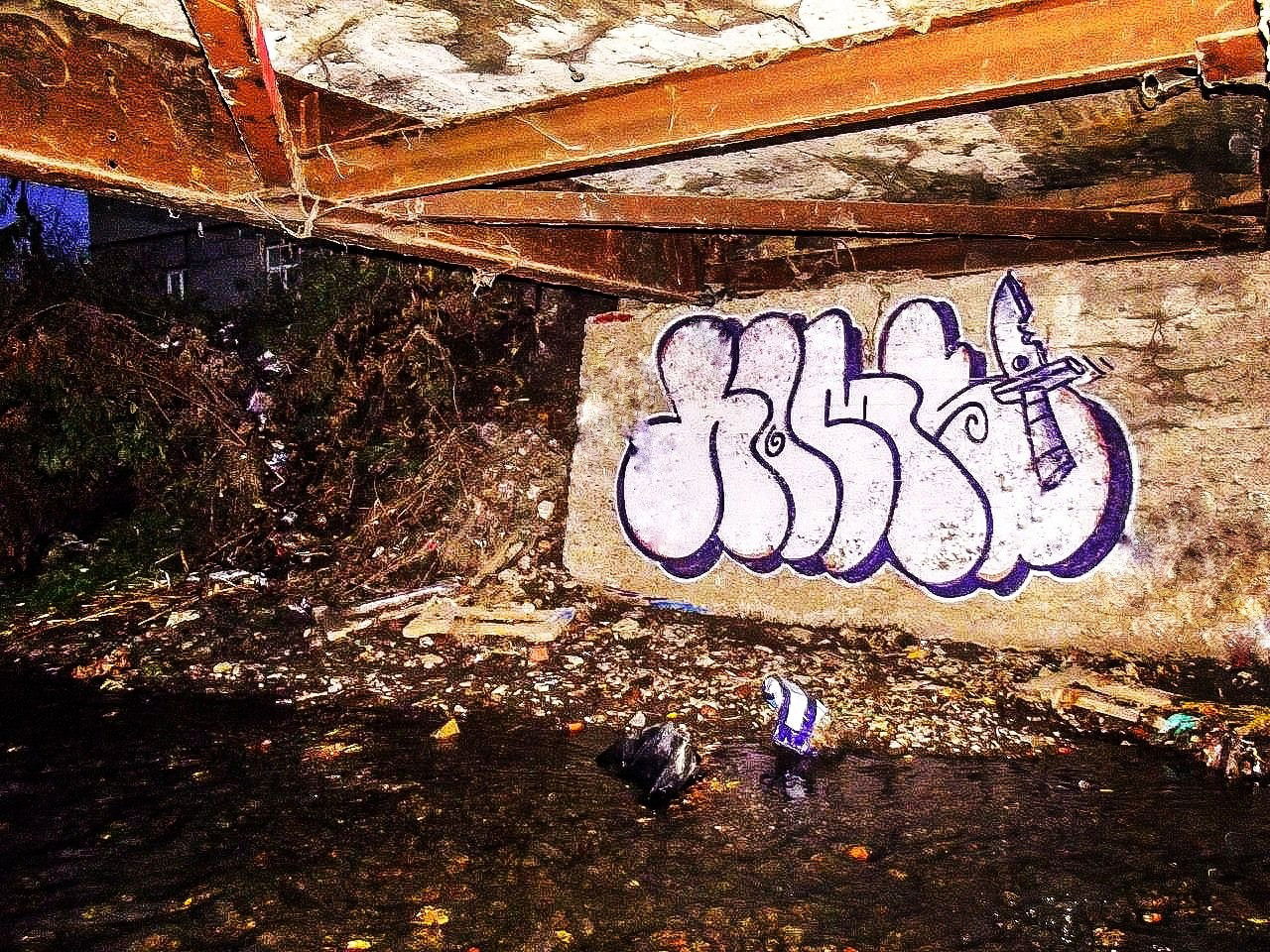 Graffiti Bombing - Photo by Homs - Homs