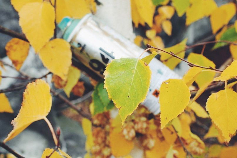 Graffiti Artwork - Photo by Homs