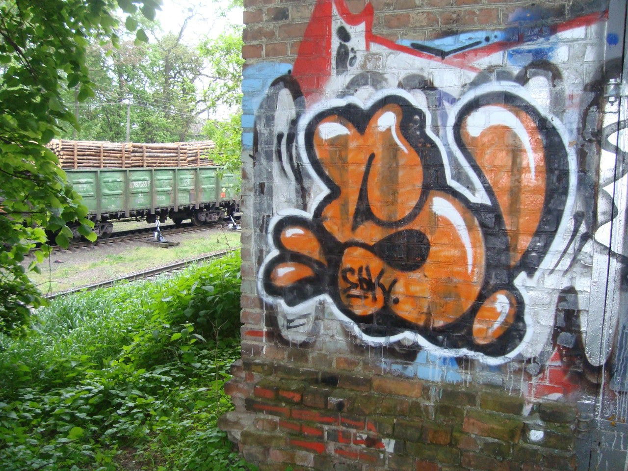 Graffiti Bombing - Photo by Homs - Homs