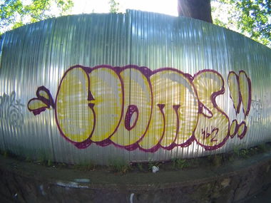 Graffiti Bombing - Photo by Homs