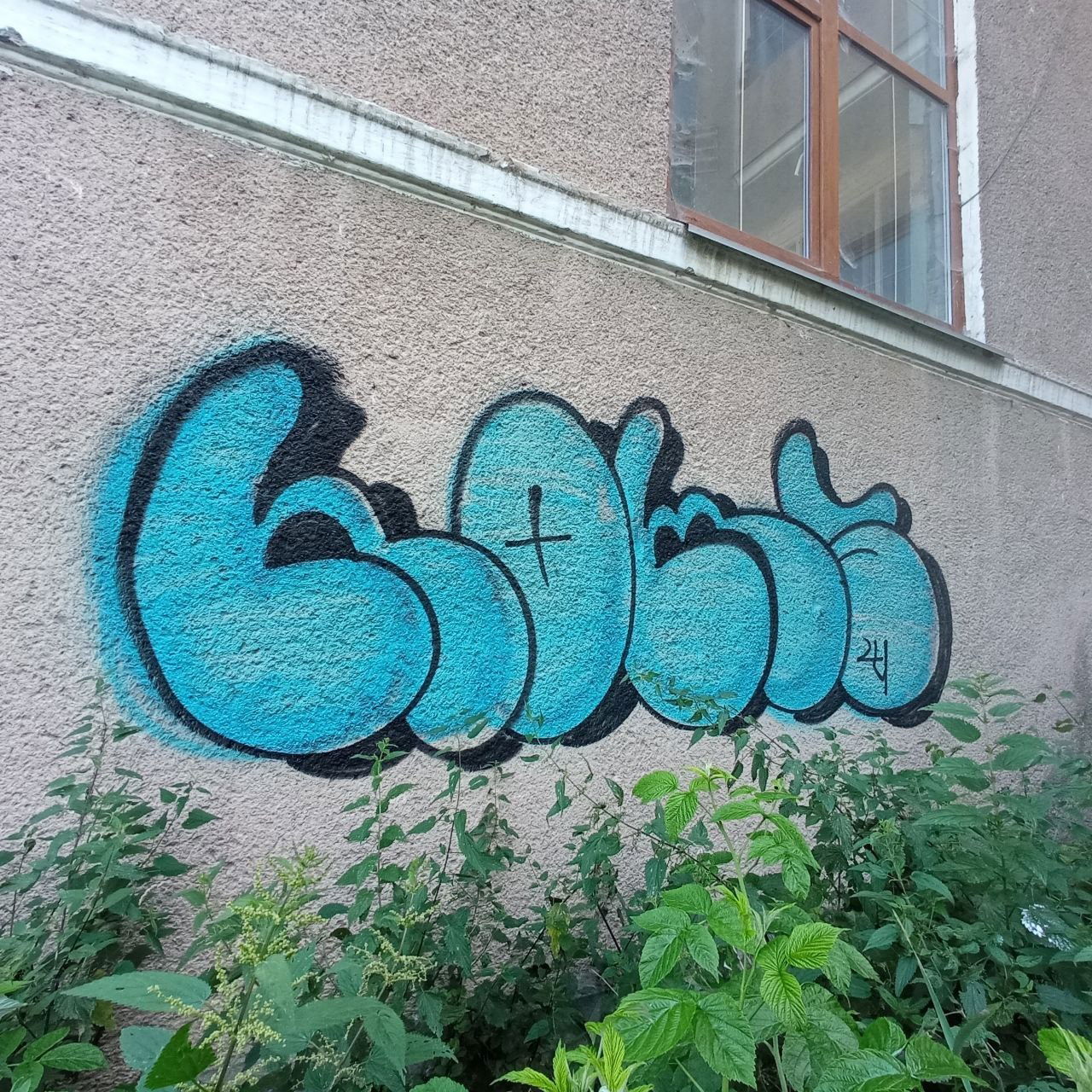 Graffiti Bombing - Photo by Homs (2024)