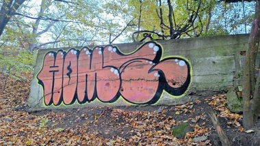 Graffiti Bombing - Photo by Homs (2024)