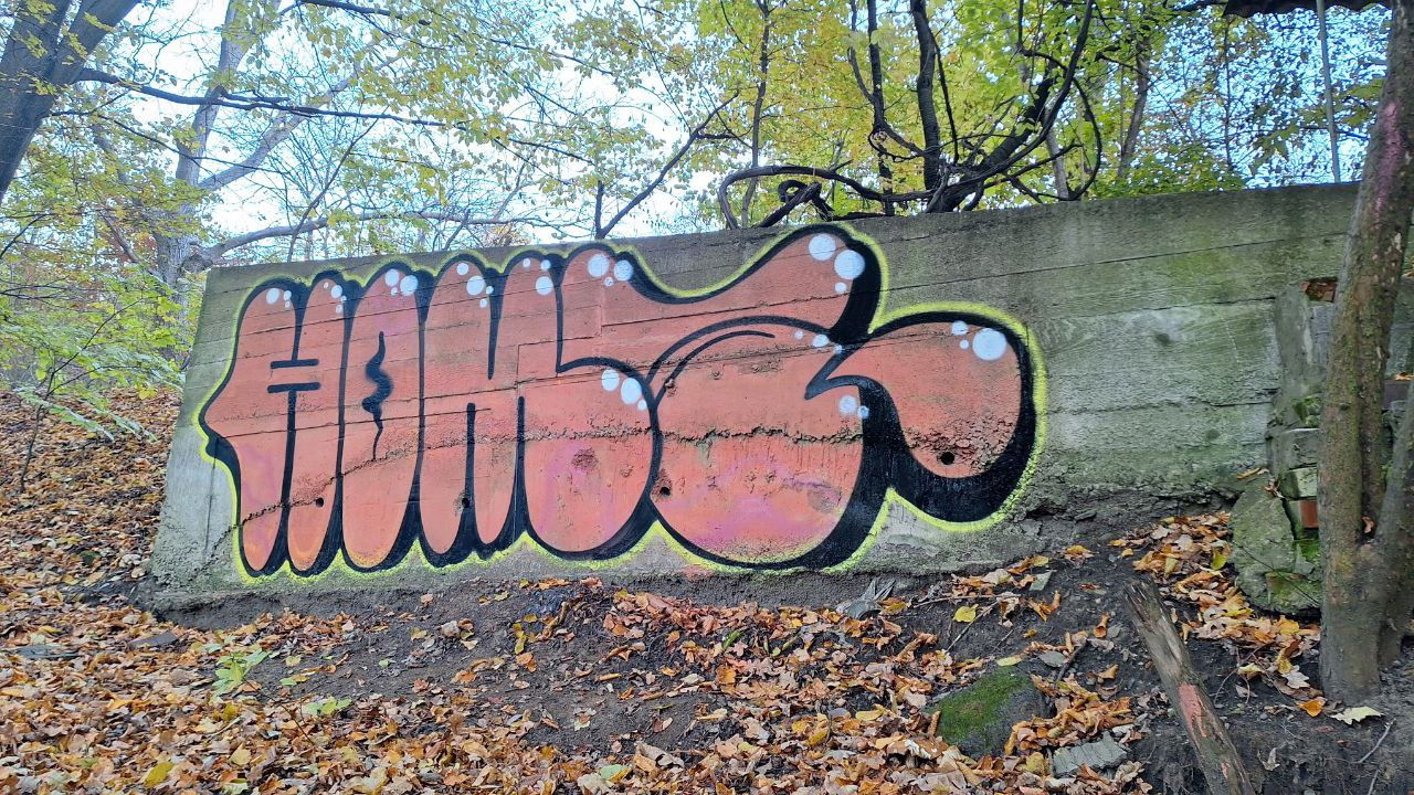 Graffiti Bombing - Photo by Homs (2024)