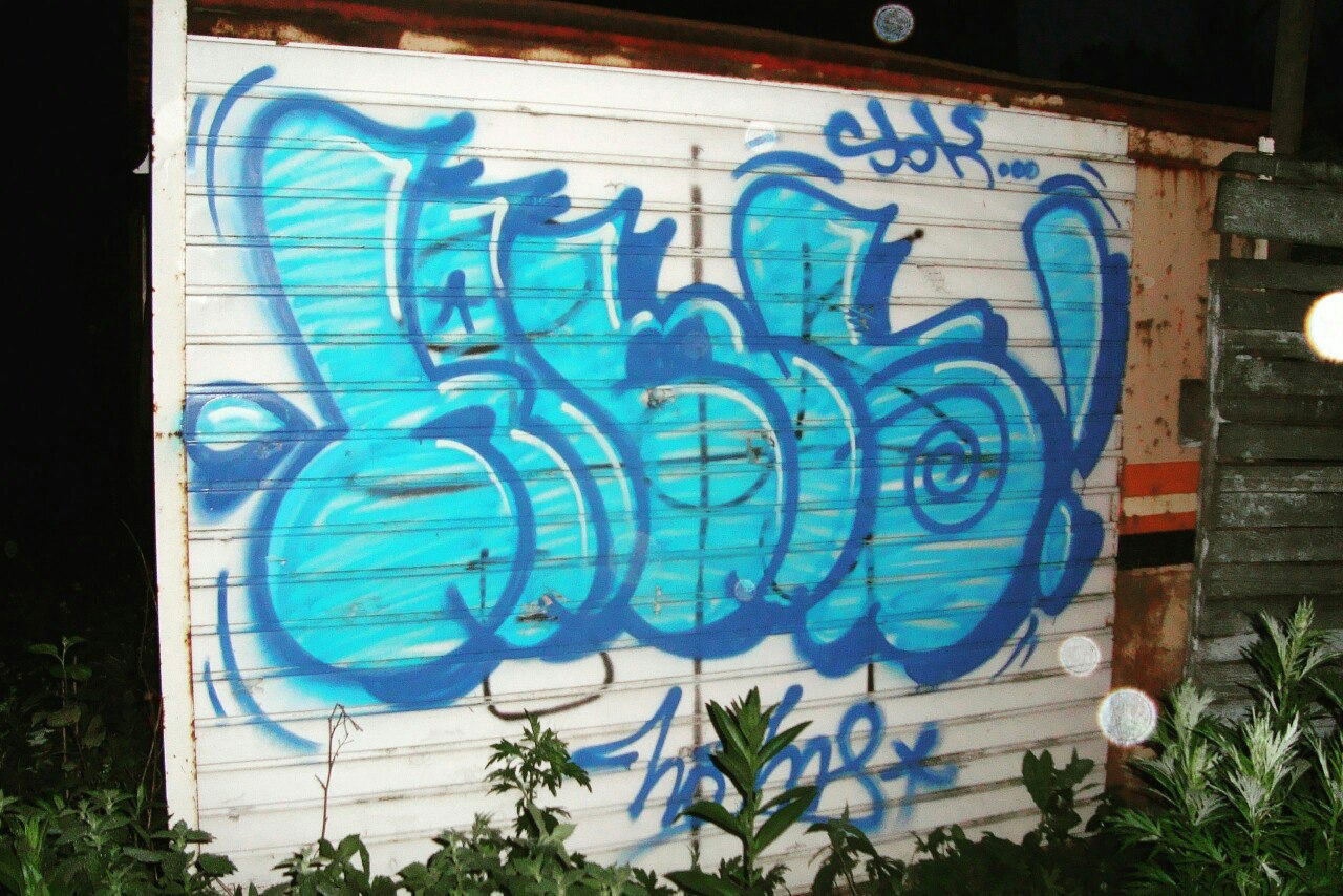 Graffiti Bombing - Photo by Homs - Homs