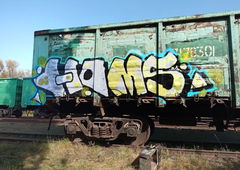 Graffiti Train - Photo by Homs - homs