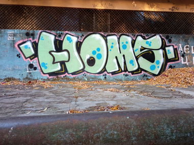 Graffiti Bombing - Photo by Homs - homs