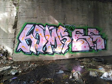 Graffiti Bombing - Photo by Homs - Homs