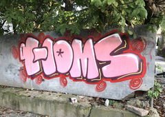 Graffiti Bombing - Photo by Homs - homs