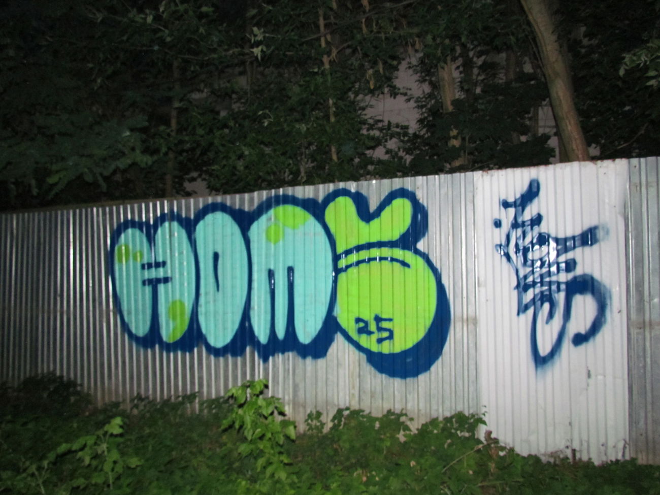 Graffiti Bombing - Photo by Homs (2025)