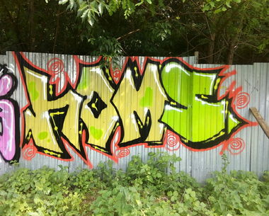 Graffiti Bombing - Photo by Homs - Homs