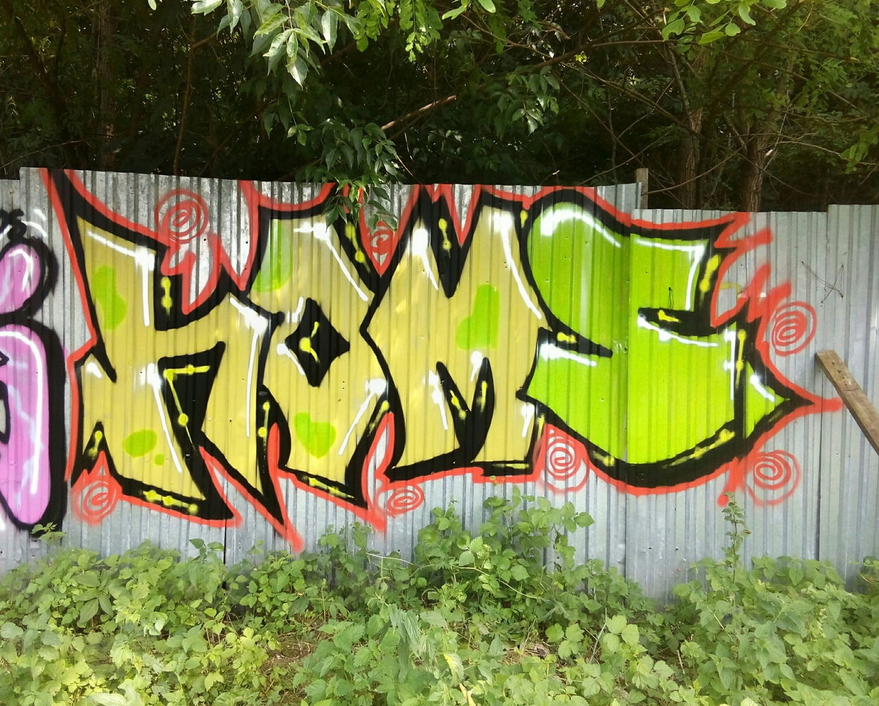 Graffiti Bombing - Photo by Homs - Homs