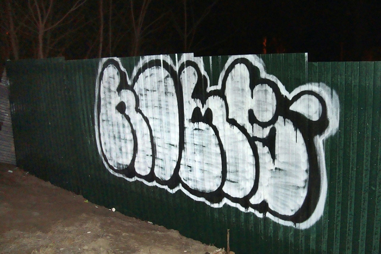 Graffiti Bombing - Photo by Homs - Homs