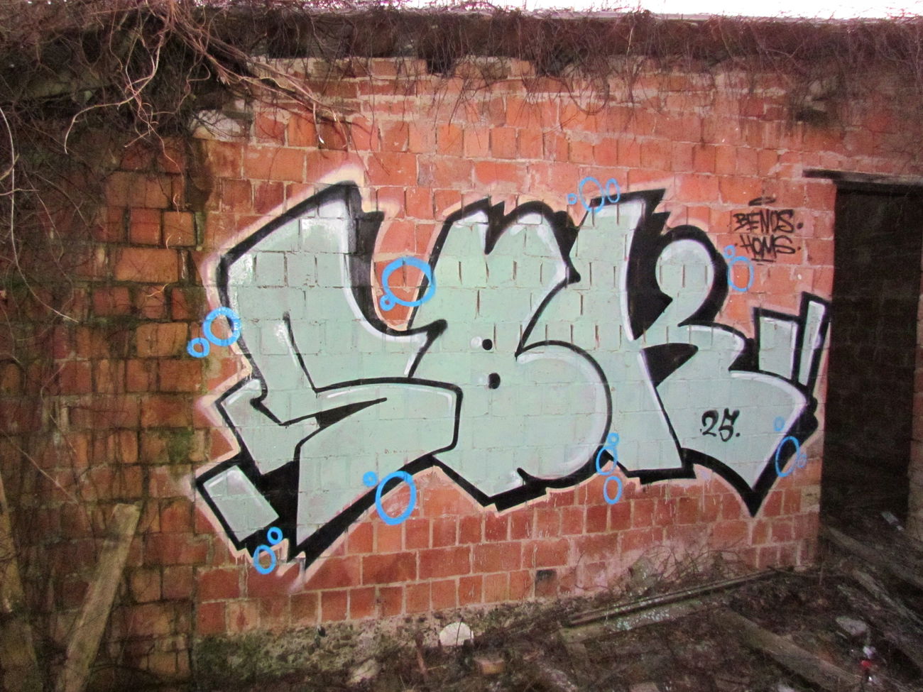 Graffiti Bombing - Photo by Homs (2025)