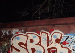 Photo #247323 by iobe1