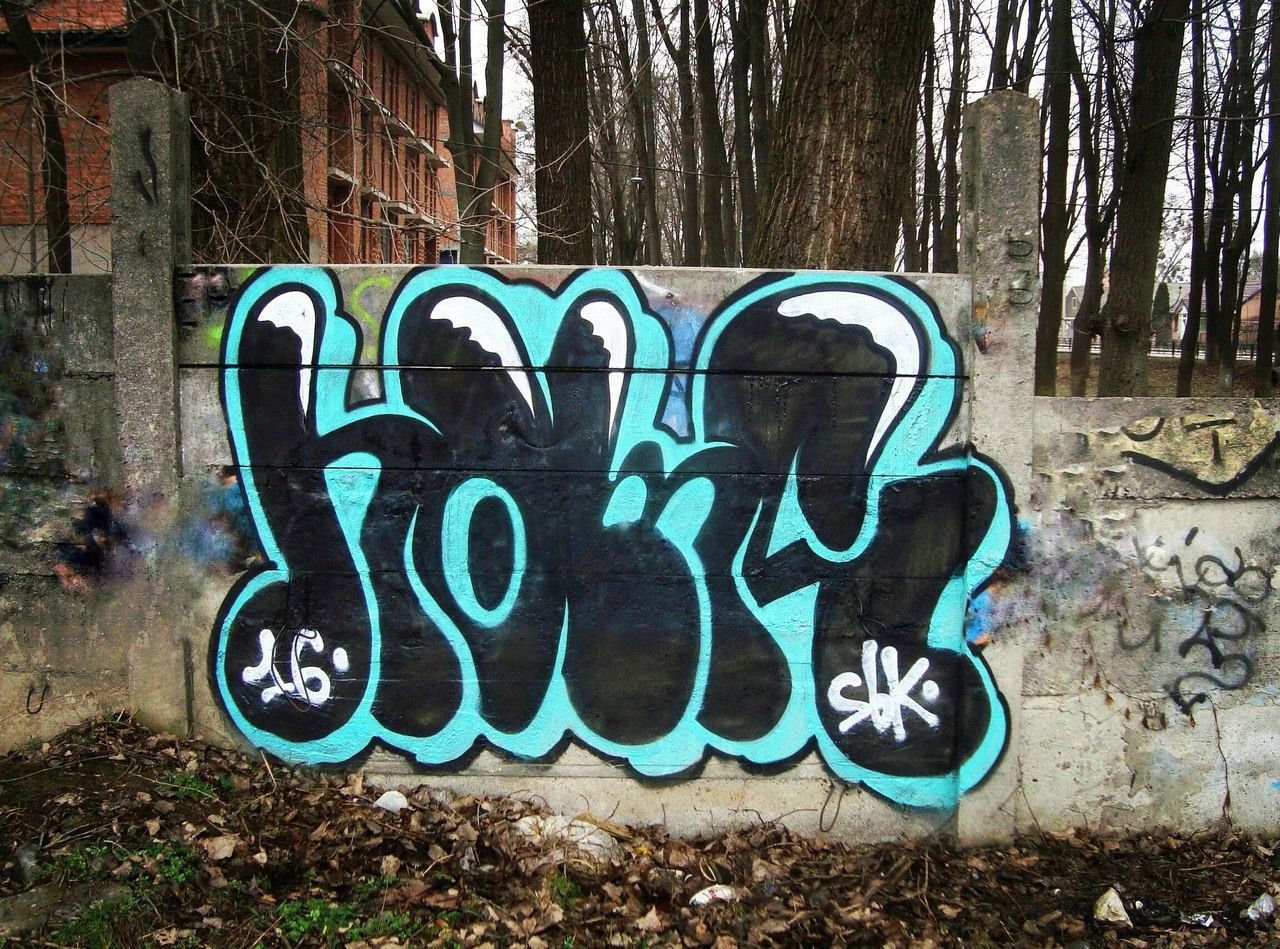 Graffiti Bombing - Photo by Homs - Homs