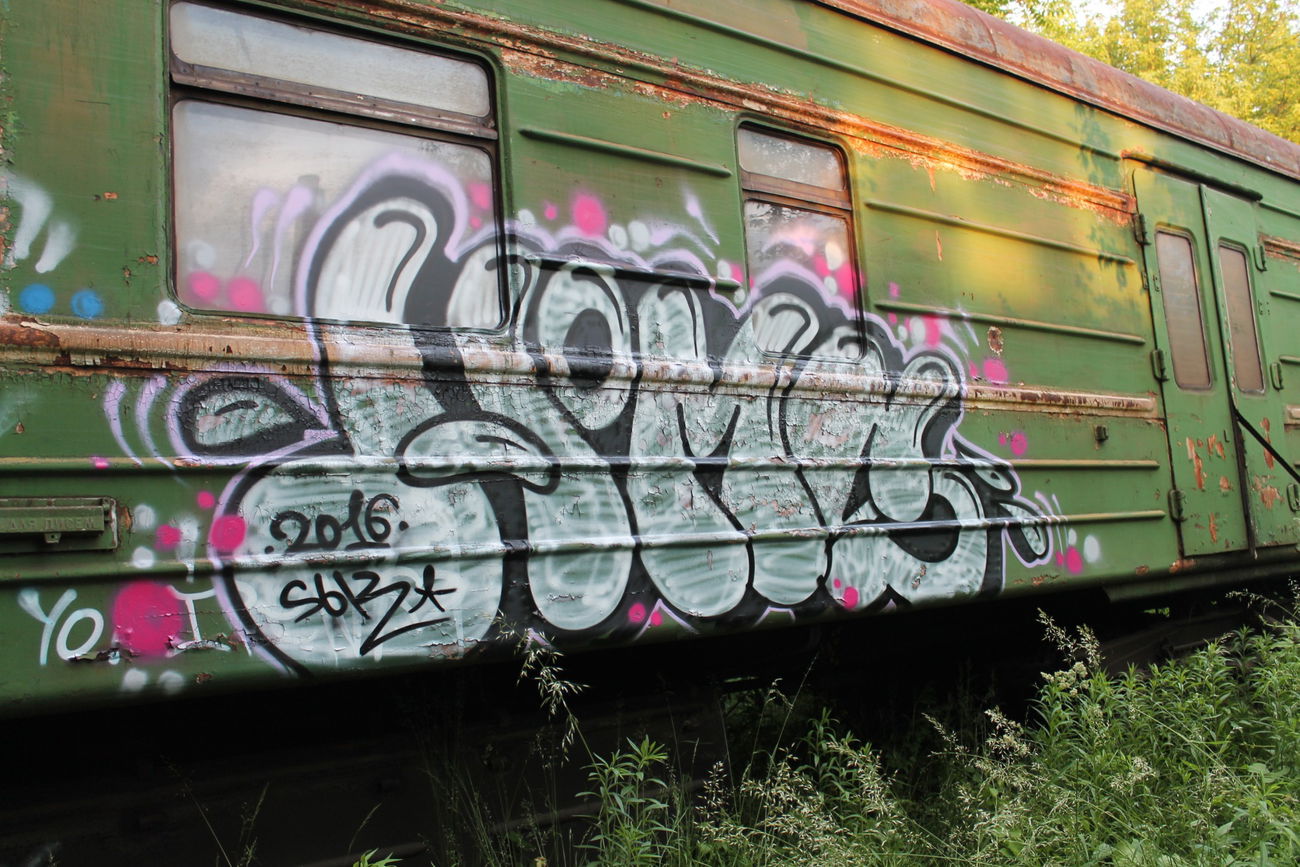 Graffiti Train - Photo by Homs - Homs (2016)