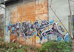Graffiti Bombing - Photo by Homs (2024)