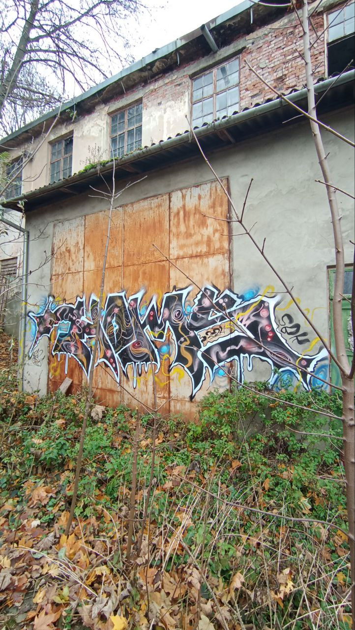 Graffiti Bombing - Photo by Homs (2024)
