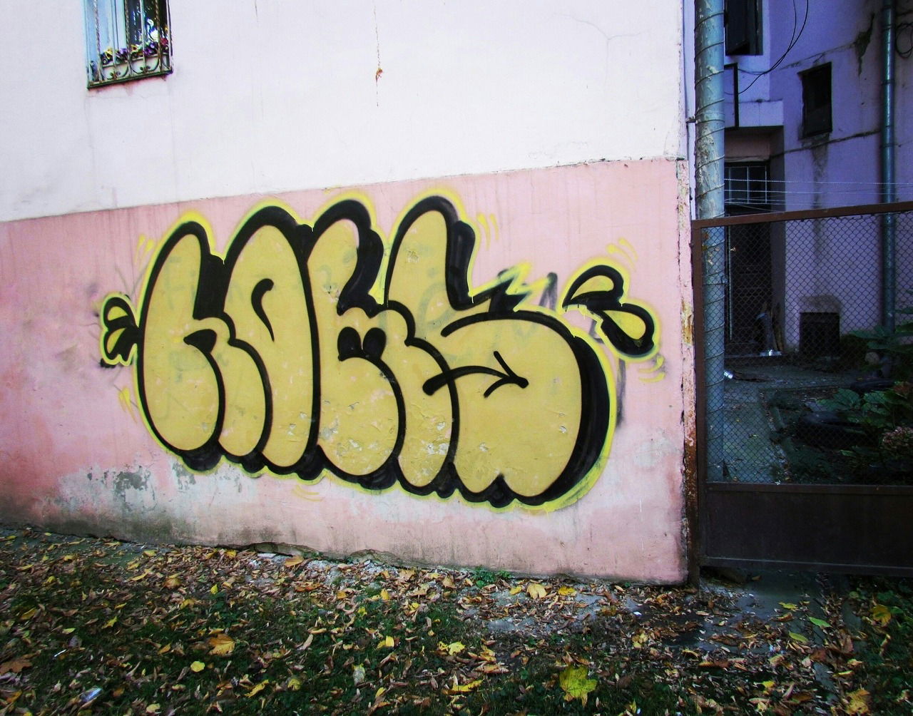 Graffiti Bombing - Photo by Homs - Homs (2018)
