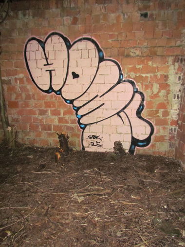 Graffiti Bombing - Photo by Homs (2025)