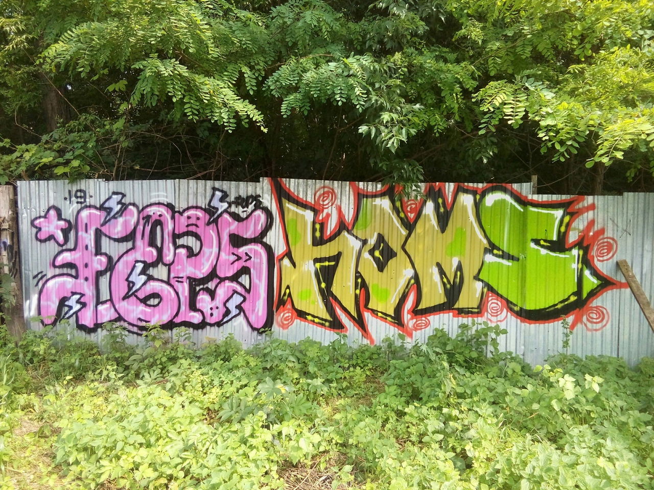 Graffiti Bombing - Photo by Homs - Homs, feps