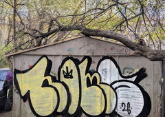 Photo #249878 by iobe1